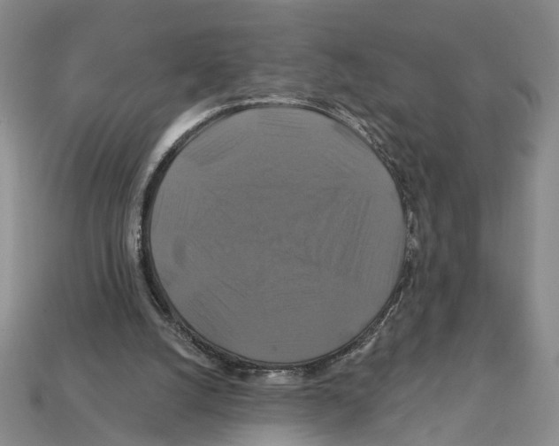 X0000112200056200909181542