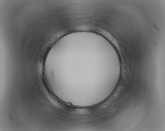 X0000112200057200909181542