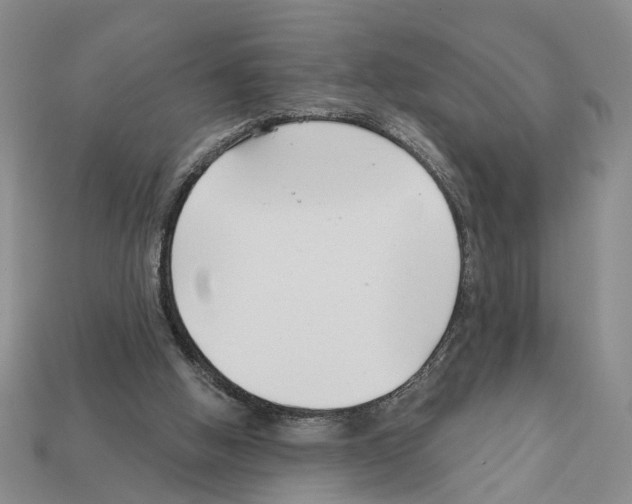 X0000112200058200909181542