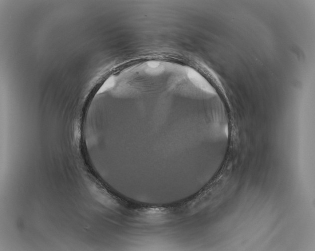 X0000112200059200909181542