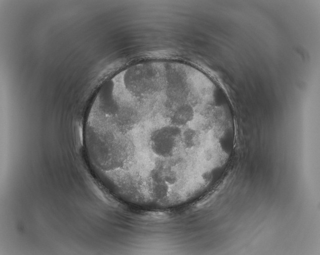 X0000112200061200909181542