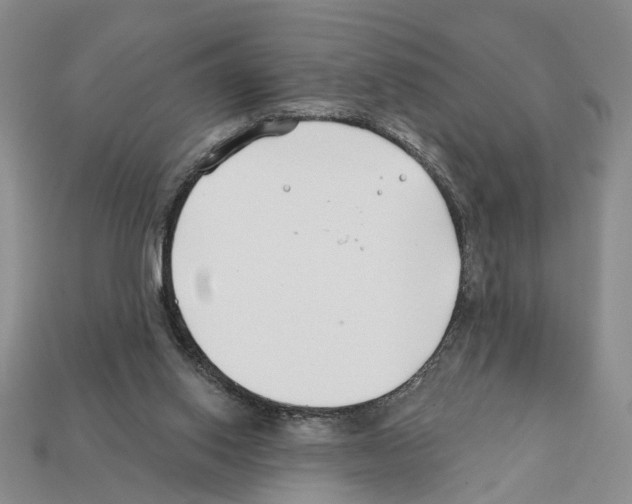 X0000112200062200909181542