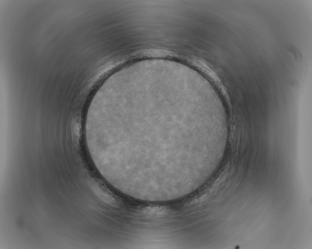 X0000112200063200909181542