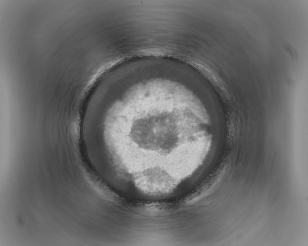 X0000112200064200909181542