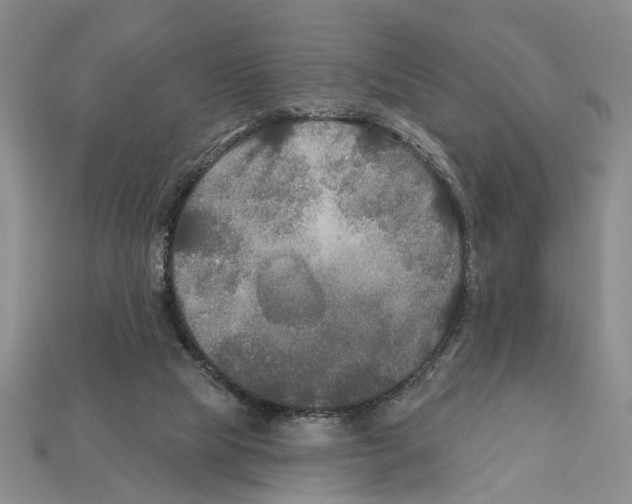 X0000112200065200909181542