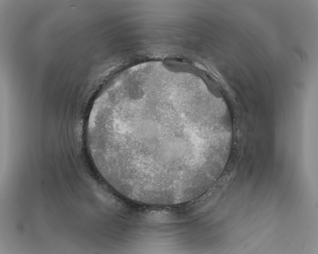 X0000112200066200909181542