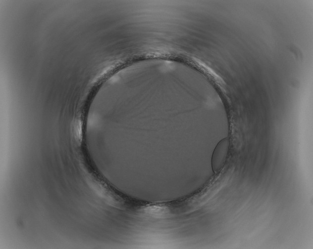 X0000112200067200909181542