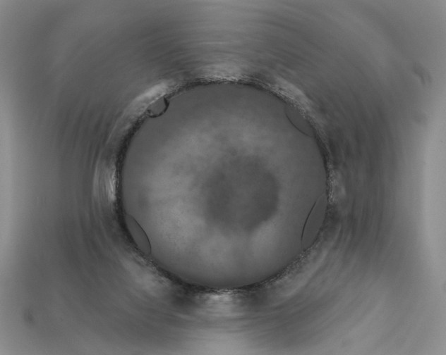 X0000112200068200909181542