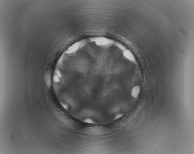 X0000112200069200909181542