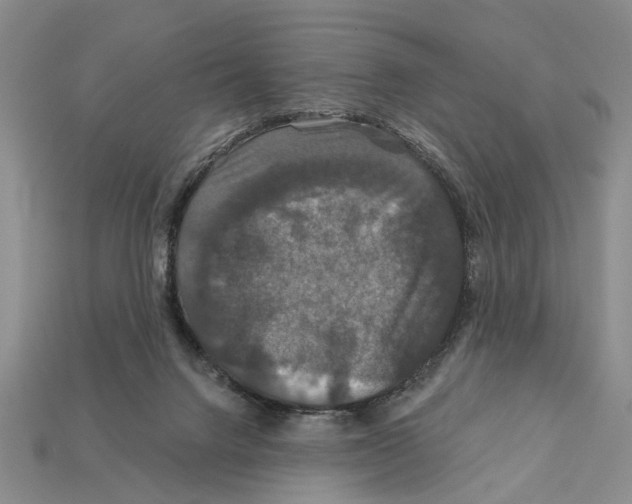 X0000112200072200909181542