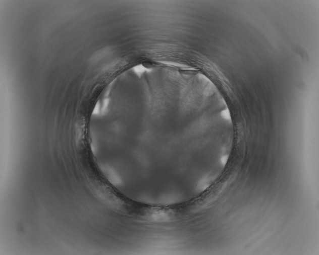 X0000112200073200909181542