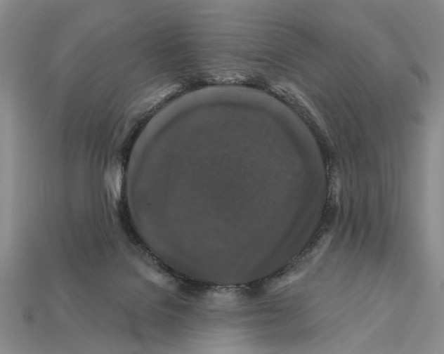 X0000112200076200909181542