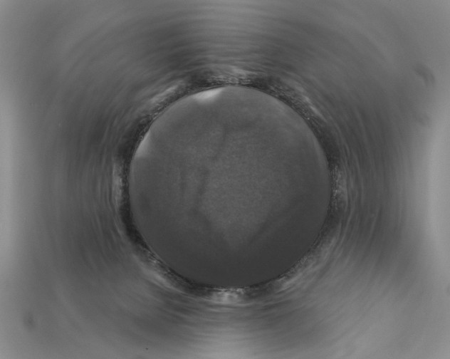 X0000112200080200909181542