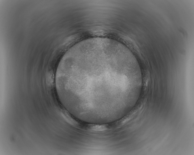 X0000112200081200909181542