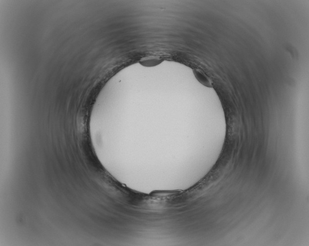 X0000112200084200909181542