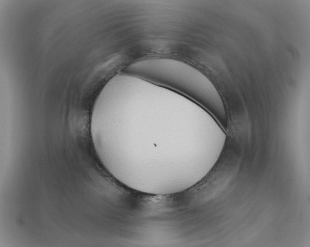 X0000112200092200909181542