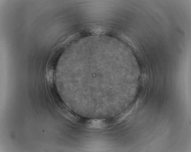 X0000112200093200909181542