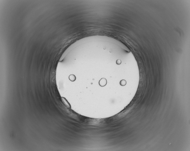 X0000112200096200909181542