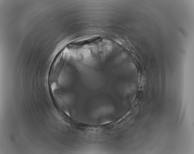 X0000112200099200909181542