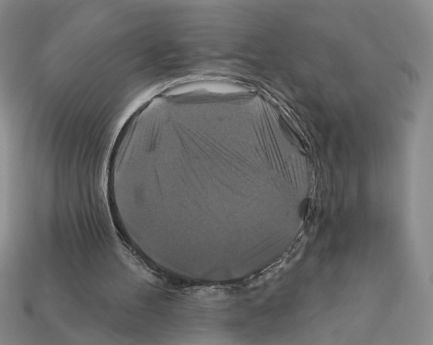 X0000112200100200909181542