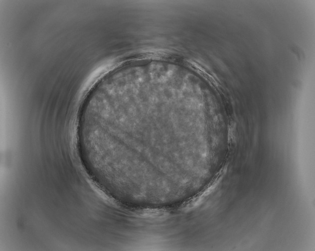 X0000112200101200909181542