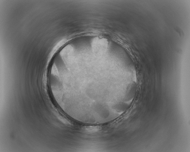 X0000112200102200909181542