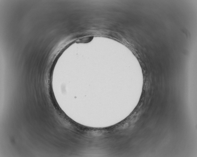 X0000112200103200909181541