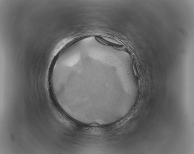 X0000112200104200909181541