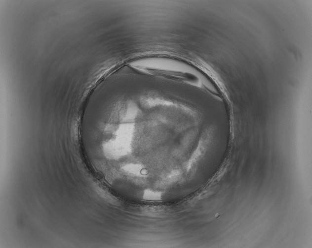 X0000112200105200909181541