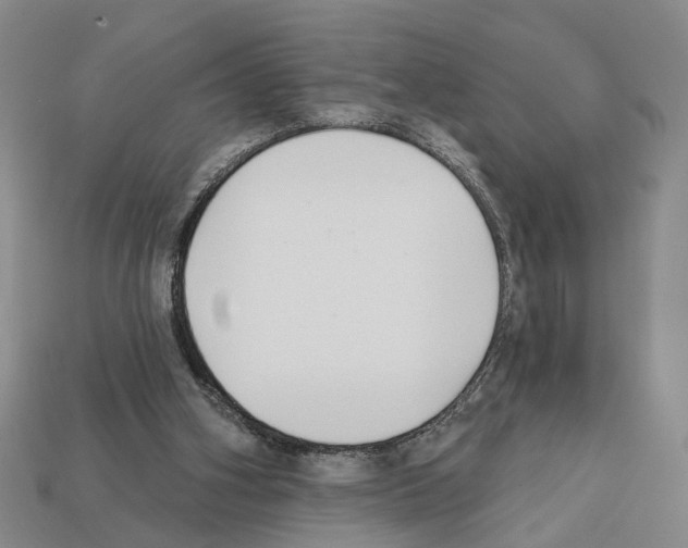 X0000112200106200909181541