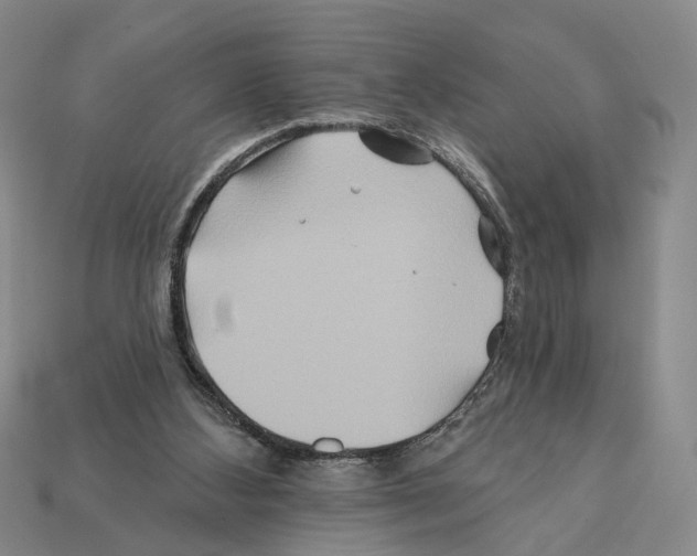 X0000112200108200909181541