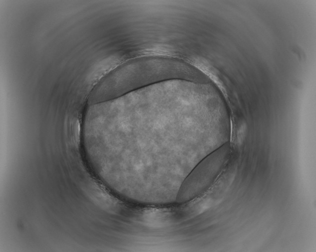 X0000112200109200909181541