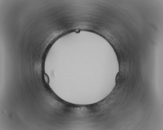 X0000112200112200909181541