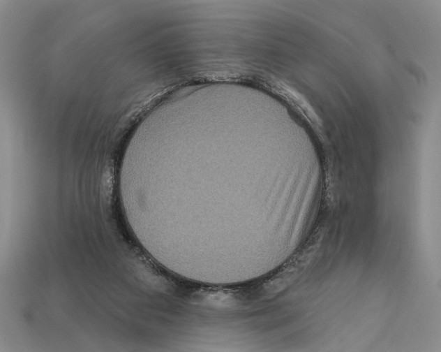 X0000112200113200909181541