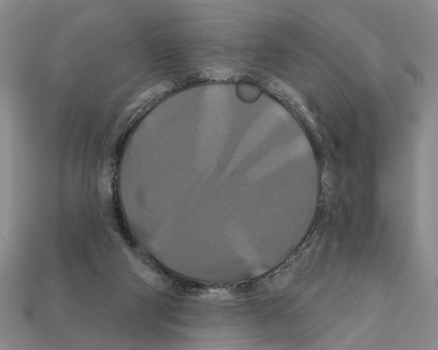 X0000112200114200909181541
