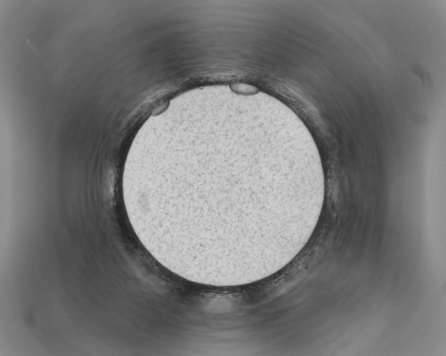 X0000112200115200909181541