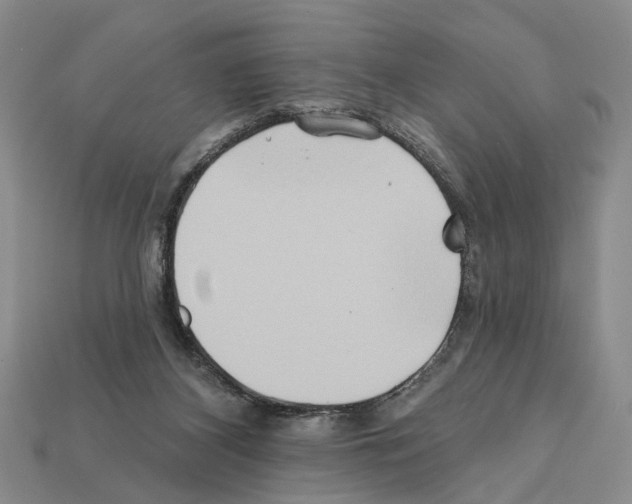 X0000112200116200909181541