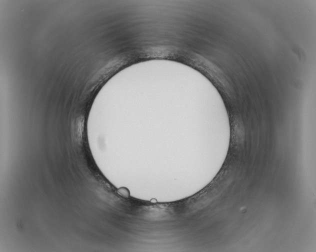 X0000112200118200909181541