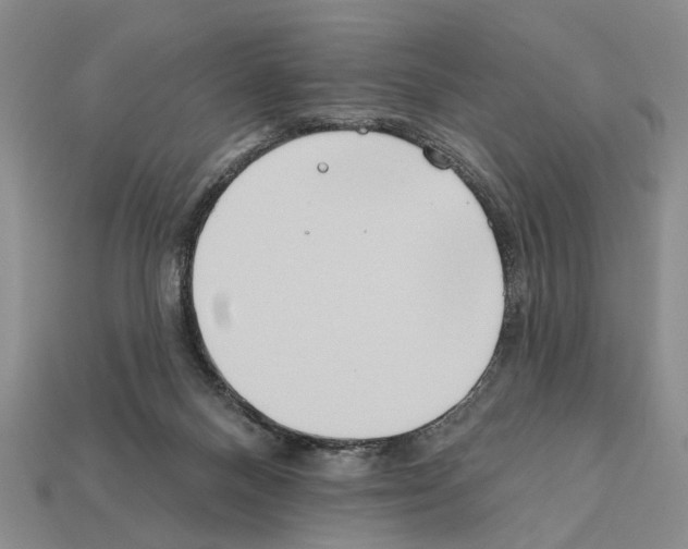 X0000112200120200909181541