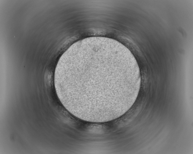 X0000112200123200909181541