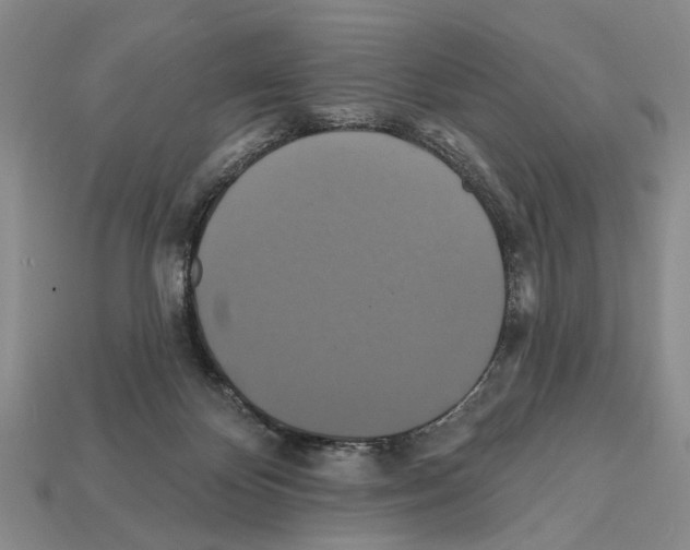 X0000112200124200909181541