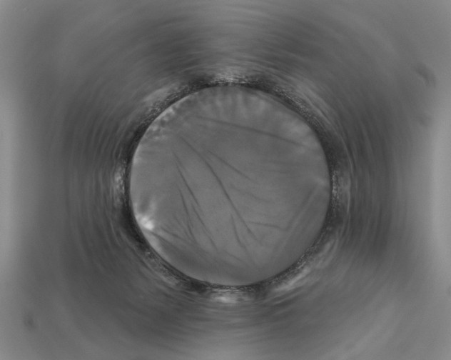 X0000112200127200909181541