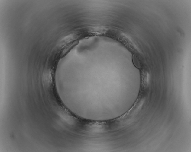 X0000112200128200909181541
