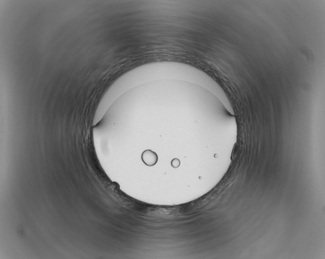 X0000112200129200909181541