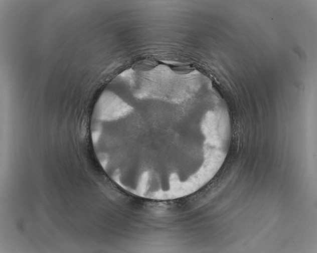 X0000112200131200909181541