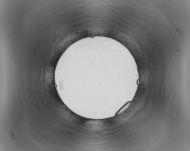 X0000112200133200909181541
