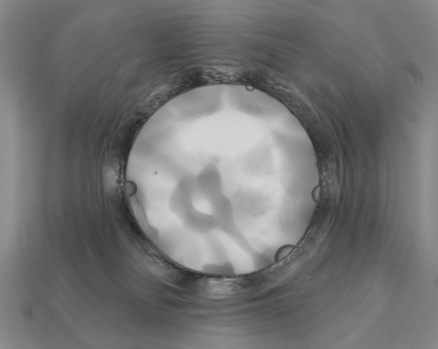 X0000112200134200909181541