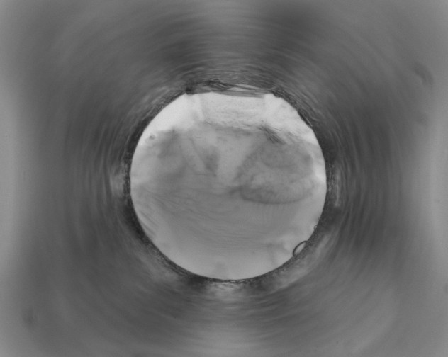 X0000112200139200909181541