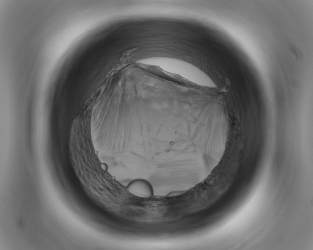 X0000112200143200909181541