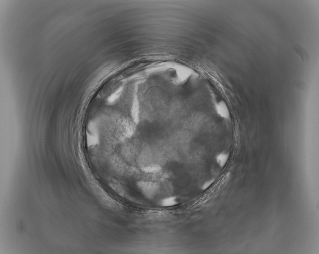 X0000112200145200909181540
